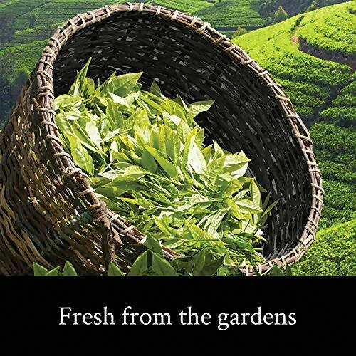 Teamonk Darjeeling Tapas Oolong Tea Leaves (75 Cups) - Distacart