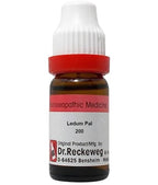 Dr. Reckeweg Ledum Pal Dilution - Distacart