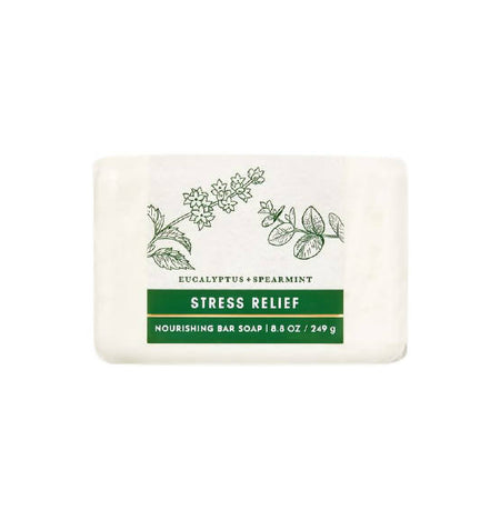 Bath & Body Works Eucalyptus Spearmint Stress Relief Nourishing Bar Soap