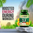 Himalayan Organics Plant Based CLA 1000 Healthy Weight Management Vegetarian Capsules - Distacart
