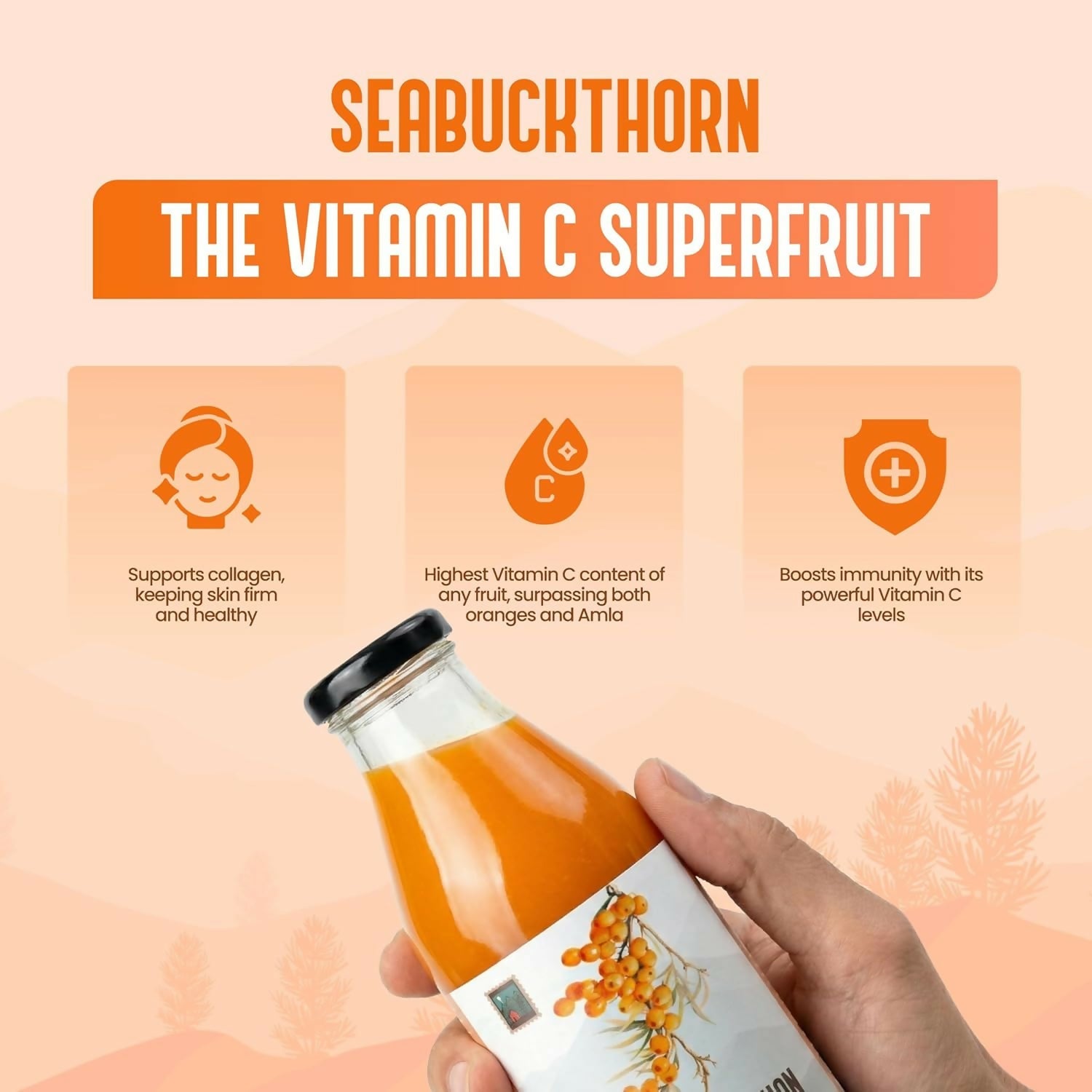 My Pahadi Dukan Himalayan Sea Buckthorn Pulp - Distacart