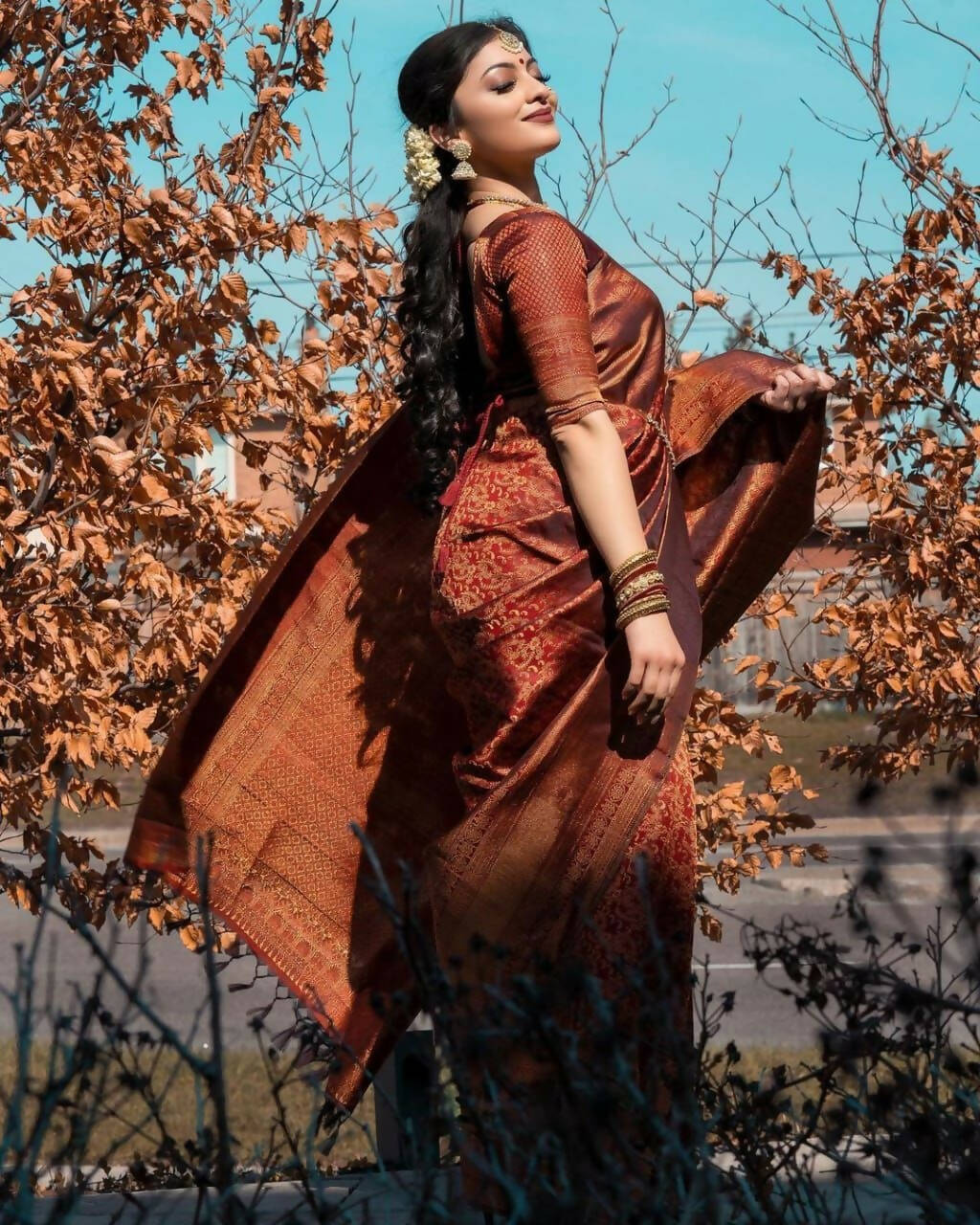 DEIANA'S Beautiful Designer Golden zari Soft Lichi Silk Saree - Maroon