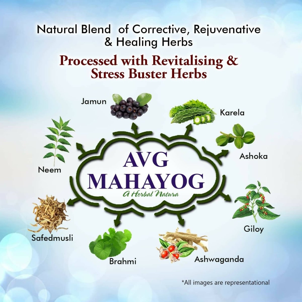AVG Health Organics Mahayog, Vital Diaba Care Juice - Distacart