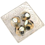 Evergreen Jalwa Laddoo Black Current