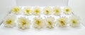 White Flower Hair Brooches