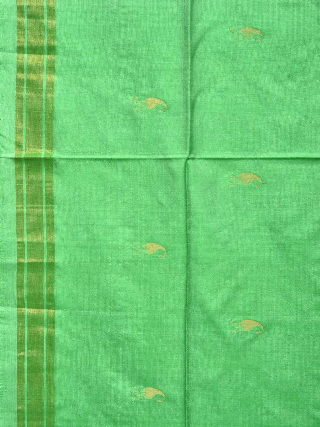 Light Green Uppada Silk Handloom Saree with Karpur Pallu Design - Global Threads