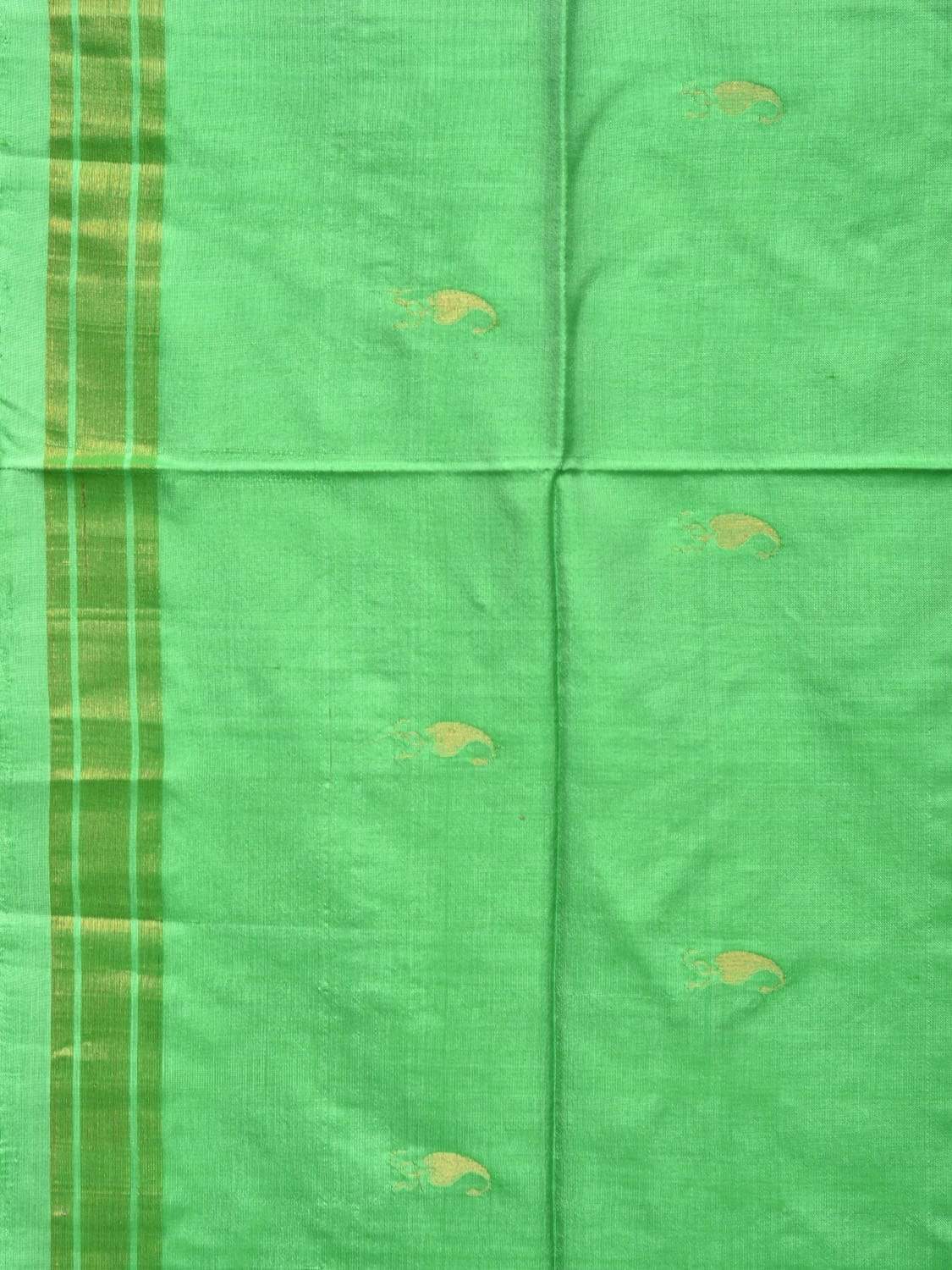 Light Green Uppada Silk Handloom Saree with Karpur Pallu Design - Global Threads