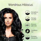 Pyoura Hibiscus Powder 100% Pure & Natural Blend Of Flowers & Leaves Hair Mask