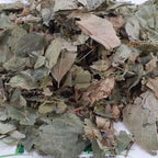 Liferr Parijat Leaves Powder