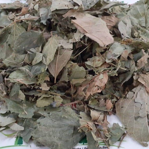 Liferr Parijat Leaves Powder