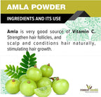 Forest Herbs 100% Natural Organic Amla, Reetha, Shikakai Powder Combo
