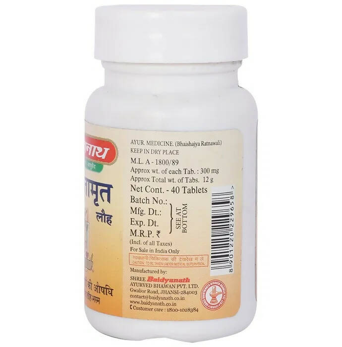 Baidyanath Jhansi Saptamrit Lauh Tablets - Distacart