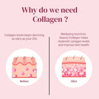 Wellbeing Nutrition Beauty Korean Marine Collagen Peptides - Strawberry & Watermelon - Distacart