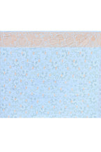 Joban Fashion Light Blue Crepe Chiffon Pure Handloom Banarasi Silk Saree