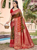 Shree Shyam Fashion Mehndi Pochampally Silk Saree - Distacart