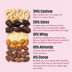 The Whole Truth High Protein Double Cocoa Protein Bar - Distacart