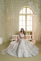 Eilara Light Gray Sequins Net Function Wear Lehenga Choli Set