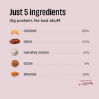 The Whole Truth Mini Protein Bars - Double Cocoa - Distacart