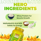 Patanjali Nutrela Weight Gain - Mango Flavour - Distacart