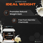 Patanjali Nutrela Sports Mass Gainer (Frvan-ice) - Distacart