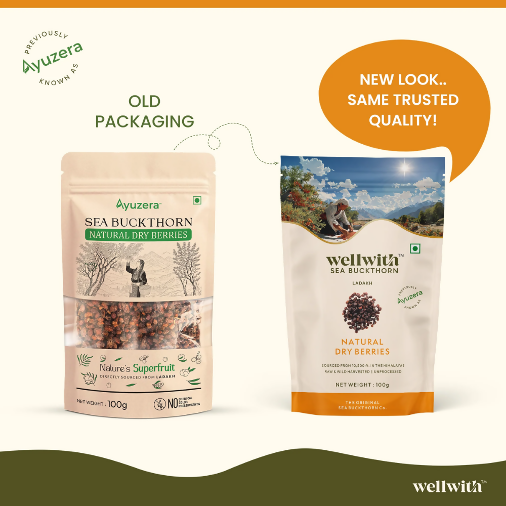 Wellwith Sea Buckthorn Dry Berry