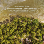 Urban Platter Unsweetened Coconut Cream - Distacart