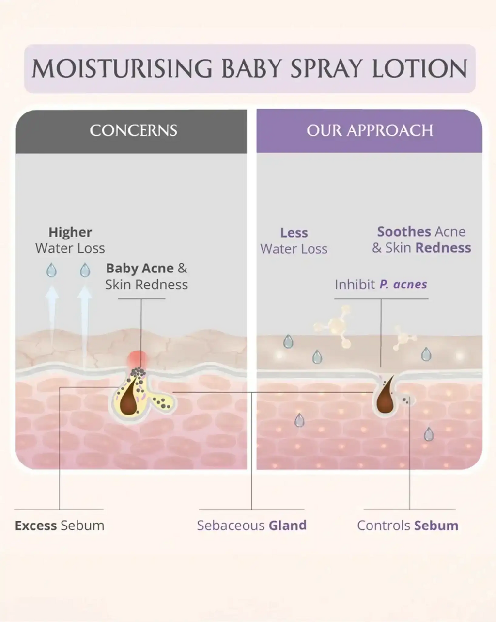 AreoVeda Mini Moisturising Kit