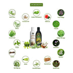 Bhumika Vedics Herbal Hair Oil & Ayurvedic Shampoo Combo