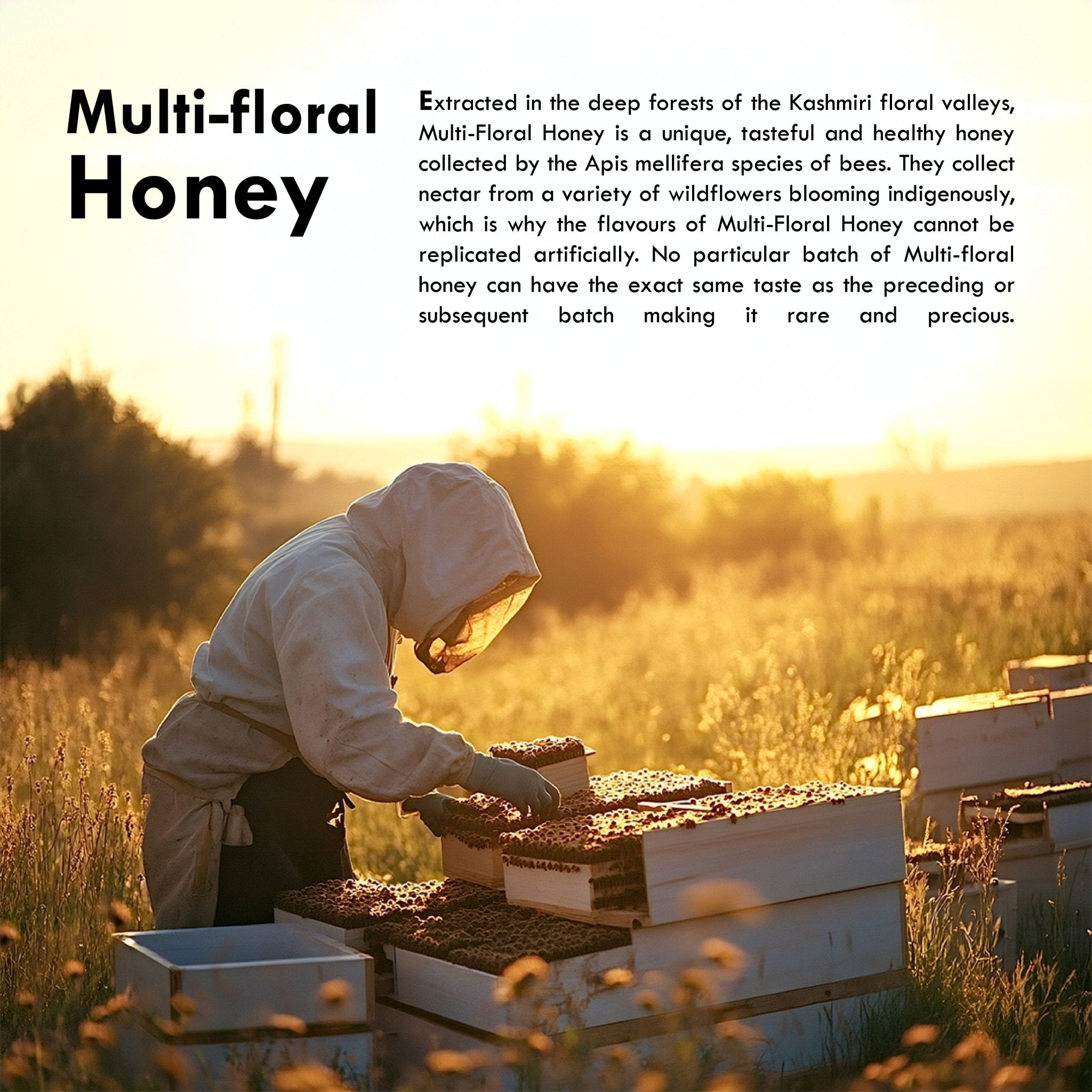 Sublime Inspiring Awe Multi Floral Honey