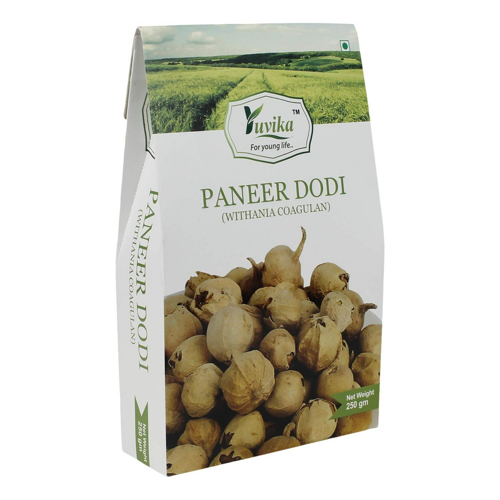 Yuvika Paneer DODI - Paneer Ke Phool - Withania Coagulan