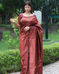 DEIANA'S Beautiful Designer Golden zari Soft Lichi Silk Saree - Maroon