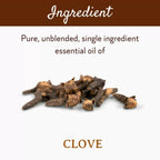Mitti Se Clove Essential Oil