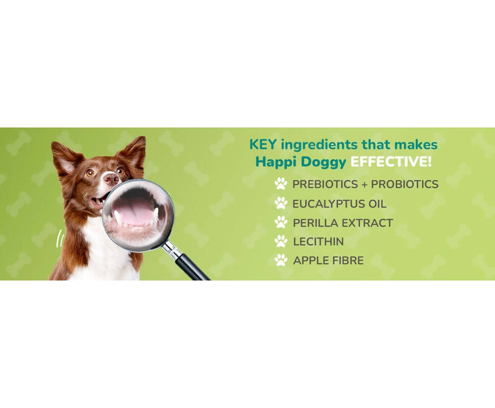 Happi Doggy Dental Chew Care Hip & Joint Support Rosehip & Okra - Distacart