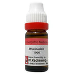 Dr. Reckeweg Wiesbaden Dilution - Distacart