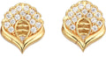 AanyaCentric Elegant Gold Plated Ad American Diamond Earrings for Women Girls of All Ages - Distacart