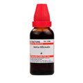 Dr. Willmar Schwabe India Salvia Officinalis Mother tincture Q