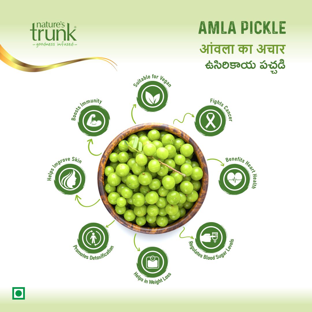 Nature's Trunk Homemade Amla Pickle - Distacart