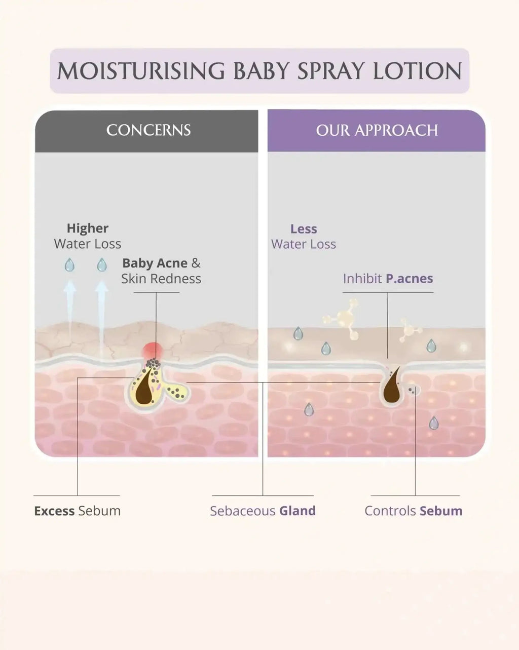 AreoVeda Newborn Bath Ritual