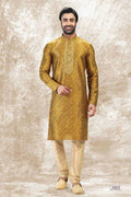 Raivat Ethnic Jacquard Silk Brocade Mirror and Thread Work Kurta Pajama In Golden Colour