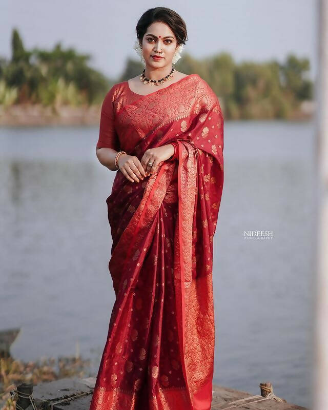 DEIANA'S Beautiful Designer Golden zari Soft Lichi Silk Saree - Maroon