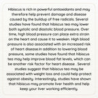 Satvi Wellness Hibiscus Flower Drink | Hibiscus Flower Tea | Hibiscus Tea - Distacart