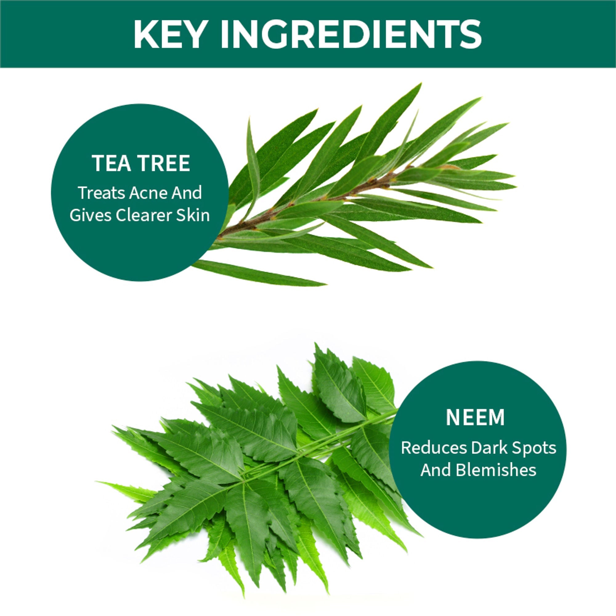 Nykaa Naturals Tea Tree & Neem Detox Face Scrub For Purifying, Acne Control & Clear Skin Glow - Tea Tree & Neem