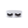 PAC Mink Lash - M81