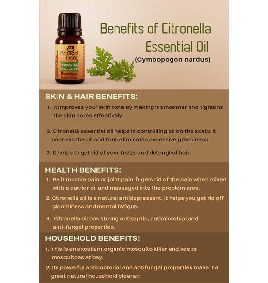 Ancient Living Kattrina Taila (Citronella Oil) Essential Oil