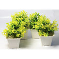 Chahat Decorative Artificial Plant 4 Piece Combo