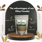 Dr.Bhargav�s Guduchi Giloy Powder