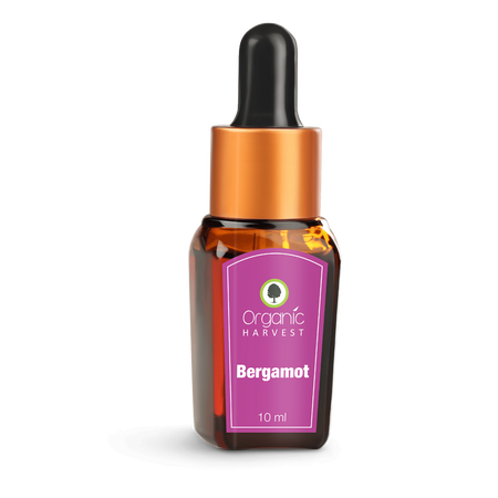 Organic Harvest Bergamot Essential Oil