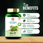 Search Wellness Giloy Capsules - Distacart