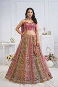 Kesar Fab Multi-Onion Net Embroidered Lehenga