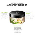 De Fabulous Tea Tree Oil Sulphate Free Hair Masque For All Hair Types